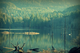 Killarney